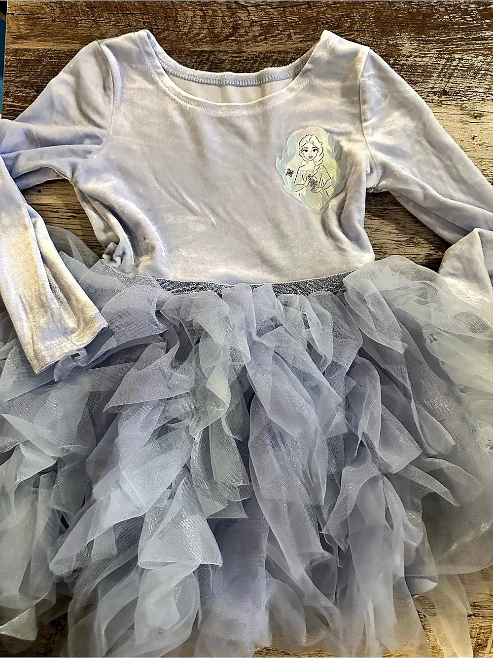 Disney Girls Gray Tulle Party Dress 2T